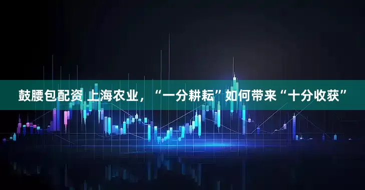 鼓腰包配资 上海农业，“一分耕耘”如何带来“十分收获”