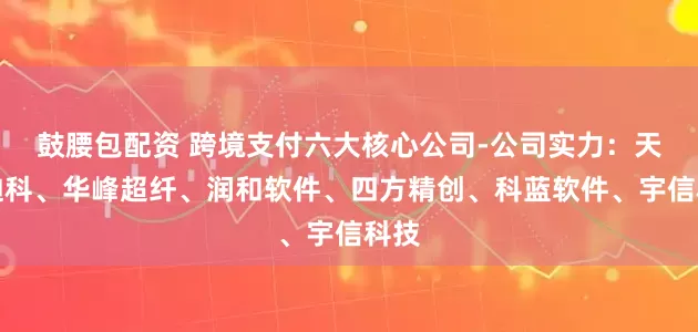 鼓腰包配资 跨境支付六大核心公司-公司实力：天源迪科、华峰超纤、润和软件、四方精创、科蓝软件、宇信科技